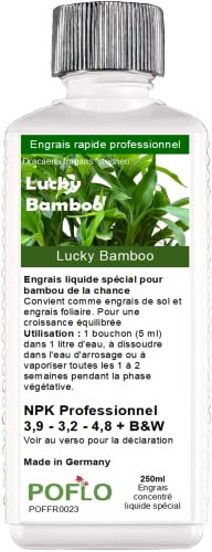 POFLO Engrais pour Lucky bamboo, bambou chinois, bambou de la chance, gamme complète d'engrais professionnel spéciale HIGH-TECH NPK pour la fertilisation du bambou Dracaena sanderiana (250ml)