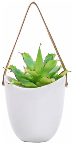 KUKUUU Maceta Colgante con Flores suculentas, decoración hidropónica