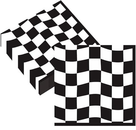 40 Stück Schwarz und Weiß Karierte Flagge Party Servietten,33x33cm Einweg Rennauto Geburtstag Part Servietten für Mann Frau Mädchen Geburtstag Party Deko