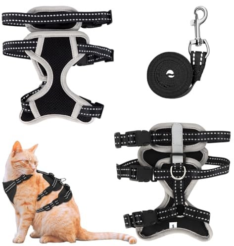 MOTIBACK Katzengeschirr mit Leine Ausbruchsicher, Metallring, Leichtes Weiches Reflektierendes Verstellbares Geschirr für Kleine Katzen zum Spazieren und Reisen. (M)