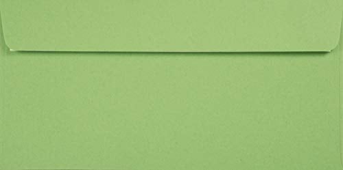 Netuno 100 Briefumschläge Grün DIN Lang 110 x 220 mm 120g Kreative Apple lange Umschläge Recycling Briefkuverts farbig hochwertig grüne Briefumschläge DL Ökopapier elegante Einladungsumschläge
