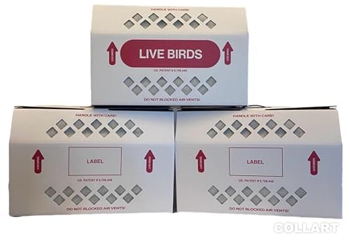 Live Bird Shipping Box Less Expensive Size 18 x 8 x 12 Tall-with Handle for Poultry, Pigeons, & Canaries - 3 Boxes