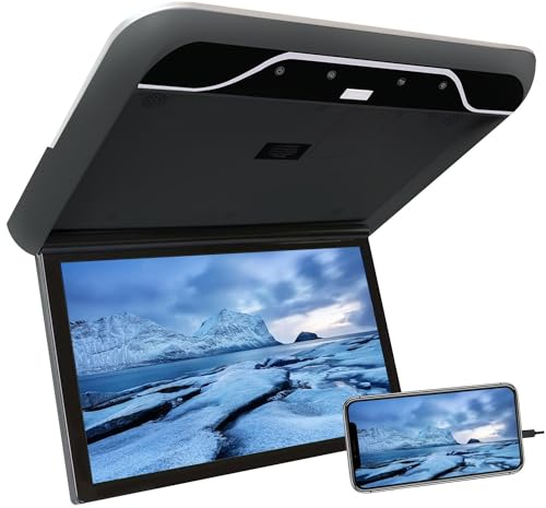 AUTUMFLATGAO Lettore da Tetto per Auto 19, Monitor da Tetto per Auto con Schermo 1080p, con Luce D'atmosfera a 16 Colori, Supporto per Monitor da Auto Ribaltabile HDMI USB IR,Black