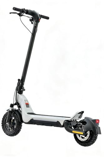 Elektroroller für Erwachsene mit Offroad-Faltung,doppelte Stoßdämpfer, EABS und Scheibenbremse vorne/hinten, Tragfähigkeit von 150 kg (Silver)
