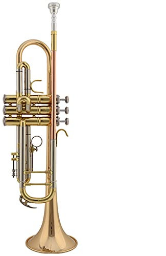 Tritone BB B Flaches Messingband Trompeteninstrument Trompeten Anfänger