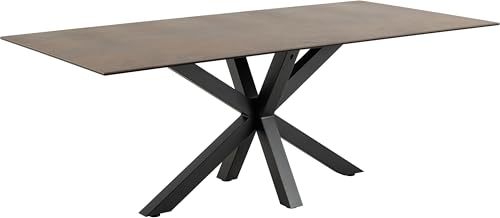 möbelando Esstisch >Heaven< in rostbrown, schwarz - 200x75,5x100 (BxHxT)