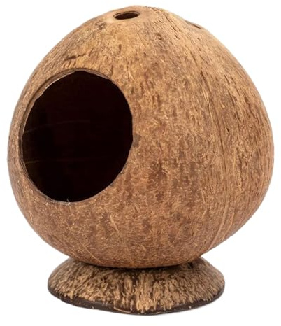 Doqeou Niche en noix de coco pour petits animaux, cachette naturelle pour petits animaux, grande cachette en forme de noix de coco avec base stable, pour hamster et cochon d'Inde 12 cm