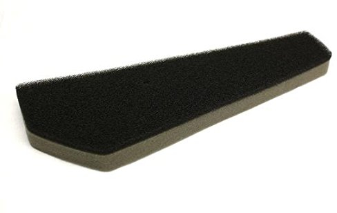 Filtereinsatz Luftfilter kompatibel mit 4 Takt China Roller Baotian, Rex, Adly, Peugeot V- Click, Flex Tech, Quelle Buffalo