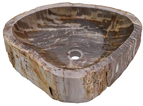 Guru-Shop Lavabo da Appoggio in Legno Fossile Massiccio, Ciotola di Lavaggio, Lavabo a Mano in Pietra Naturale - Modello 4, Beige, 15x62x44 cm, Lavabi, Lavabi Vasche da Bagno
