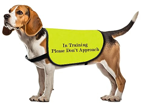 Trainings-Hundejacke, Weste im Training, bitte nicht nähern, Hundeweste, Hundespaziergang, Warnweste (in Trainingsansatz, Größe M)