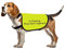 Trainings-Hundejacke, Weste im Training, bitte nicht nähern, Hundeweste, Hundespaziergang, Warnweste (in Trainingsansatz, Größe M)