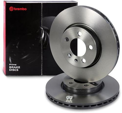 BREMBO 2x Bremsscheibe belüftet vorne 09.D571.11 Innenbelüftet | Kompatibel mit: AUDI A1 City Carver, A1 Sportback, SEAT ARONA, IBIZA V, SKODA FABIA IV, KAMIQ, SCALA, VW POLO VI, TAIGO
