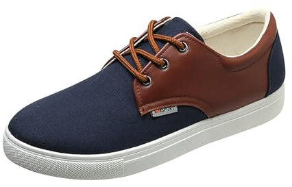 Zapatos de lona para hombre, zapatos casuales para caminar, zapatos planos con cordones, de lona, con retazos, para patineta, ligeros y cómodos, Blue, 48 EU