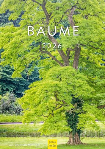 Edition Seidel Premium Kalender Bäume 2026 Format DIN A3 Wandkalender Natur Baum Wald Tanne Eiche Birke Ahorne Linde Kirschbaum Robinie Eukalyptus Walnuss Christian Müringer