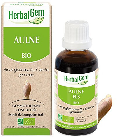 HERBALGEM - Macérât-Mère - Aulne Bio - Complément Alimentaire Gemmothérapie Concentrée - Extrait De Bourgeon Frais - Pour Défenses Naturelles & Circulation - Vegan - 30 ml