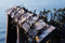Top-Line Cluster lights Supplement set Warm white Black 3m