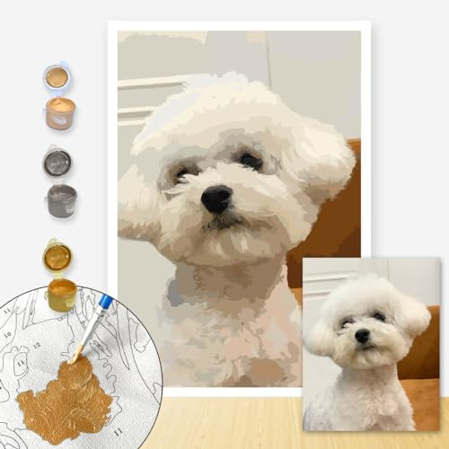 LINEPARK Personalized Paint by Numbers for Adults Custom Oil Painting with Frame DIY Painting by Number Kits for Beginners (with Frame, 30x30 cm)