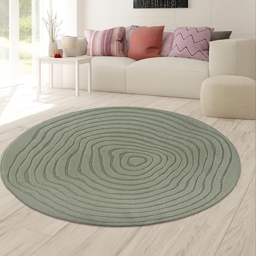 Teppich-Traum Teppich Rund Hoch-Tief-Effekt Linien und Bögen Grün 200 cm | Natürliche Farbwirkung, weich, pflegeleicht, harmonische Rundform, Wohnzimmer, Esszimmer, runde Tischbereiche