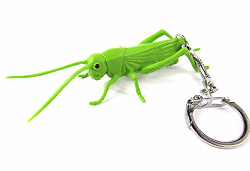 Miniblings Sauterelle Locustes d'insectes - Pendentif bijoux faits à la main I - Porte-clef Porte-clef sauterelles sauterelle insectes