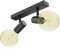 ledscom.de E27 Vintage Decken-Leuchte FARE, Retro, schwarz, schwenkbar, 2-flammig + LED Lampen gold max. je 818lm extra-warmweiß 3-Stufen Dimmen