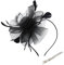 Jodsen Fascinator Hat Flower Feather Mesh Headband with Hair Clip Ascot Hat Hair Hoops Photo Booth Props Costume Headbands Cocktail Tea Wedding Church Party Headwear Race Hat for Girls Women (Black)