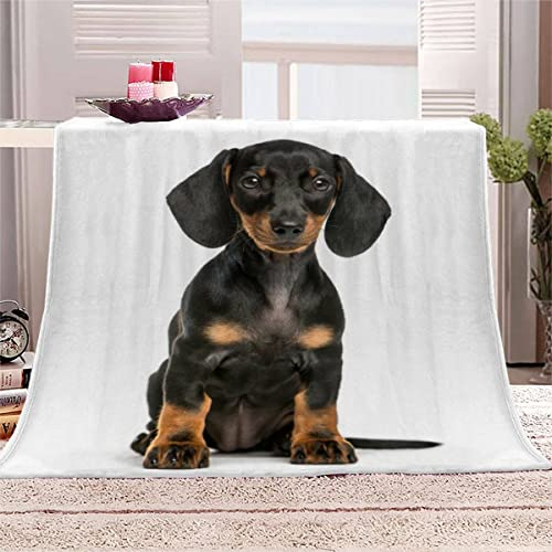 Decke 150x200 cm Dackel Kuscheldecke Flauschig 3D Digitaldruck Weiche Warme Mikrofaser Flanelldecke Der Hund Motiv Wohndecke Sofadecke Couchdecke Blanket für Erwachsene