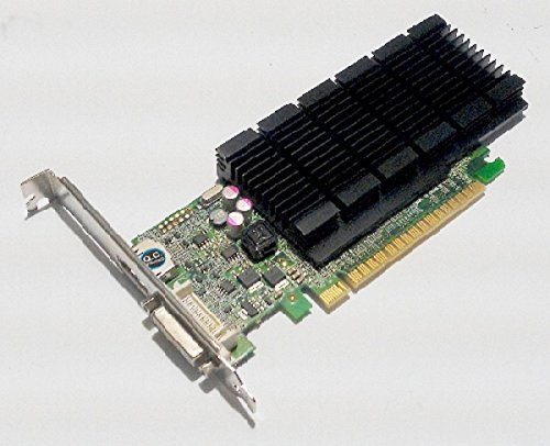 Fujitsu GeForce 605 Scheda Grafica 1GB, S26361-F3000-L607