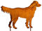 Blümelhuber Hund Gartenstecker Metall in Rostoptik - Labrador, Golden Retriever Gartenfiguren aus Rost - Edelrost Garten Outdoor Deko für Vorgarten, Beet oder Haustür