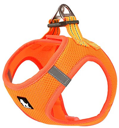 Truelove True Love Hundegeschirr, weiches Air-Mesh, verstellbar, reflektierend, für kleine und mittelgroße Rassen, Größe XS, Orange