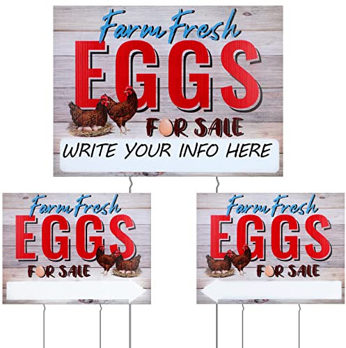 Sintuff 3 Stück Farm Fresh Eggs for Sale Schild 40,6 x 30,5 cm frische Eier Schild doppelseitig Bauernhof Frische Eier Schild Lustiges Bauernhofschild Wellpappe mit Heringen für drinnen und draußen