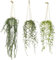 YVONNEYI 3 Pièces Plante Artificielle Tombante avec Pots, Plantes Artificielles Interieur pour Decoration Chambre, Fausse Plante Suspendue pour Maison Salle de Bain Bureaux Décoration-031