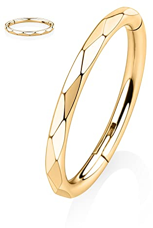 AROWRO 10mm Knorpel Conch Ohrring Nase Septum Ringe Helix Daith Ohrring 16g Nase Hoop Schmuck Chirurgenstahl Conch Daith Helix Piercing Schmuck Septum Clicker Lippenringe Gold