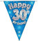 Party Bunting Happy 30th Birthday Blue Holographic 11 flags 3.9m
