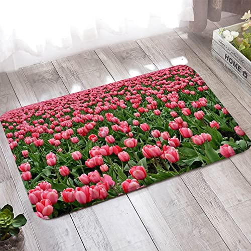 Teppich Badezimmer, Fussmatte Innen 60X90cm Grünes Rosenrot Tulpe Willkommen Matten Heimtextilien