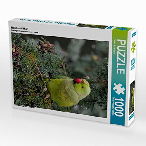 CALVENDO Puzzle Halsbandsittich | 1000 Teile Lege-Größe 48 x 64 cm Foto-Puzzle für glückliche Stunden