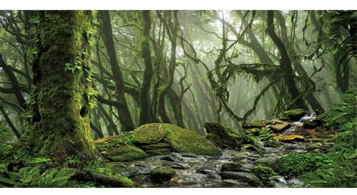 MIRRORANG 180x46cm Foggy Forest Terrarium Hintergrund Stream Grün Riesiger Baum Reptil Lebensraum Hintergrund Tropischer Regenwald Aquarium Hintergrund Vinyl