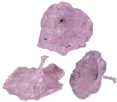 Kalix Deko-Pilze Lila Weiß gewaschen 100 St für Herbstdeko Floristik Trockenblumen, 100 Stück