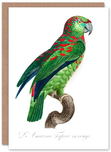 Artery8 Francois Levaillant Art Card The Blue Fronted Amazon Parrot