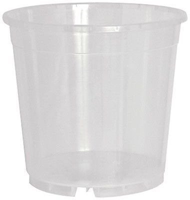 Blooming Weather Standard Clear Orchid Pot - 17cm - Pack of 5