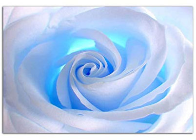 Startonight Quadro su Vetro Acrilico - Rosa Blu Bianca - Moderno Stampa 60 x 90 CM