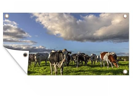 MuchoWow Outdoor-Poster Poster Wanddeko draußen Deko Garten Gartenposter 160x80 cm Kühe - Licht - Gras