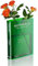 NiHome Buchvase, Acryl Book Vase für Blumen, 20x15x4cm Dekorative Buchform Blumenvasen mit Uhr & Central Park Koordinaten, Ästhetische Raumdekoration für Schlafzimmer, Wohnzimmer, Büro (Grün)