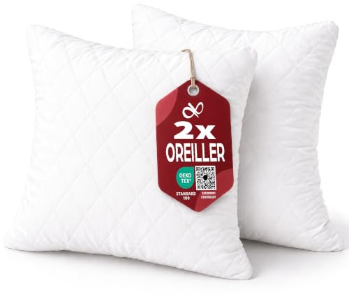 Flowen Coussin Canape 60x60 Lot de 2 Oreillers Decoratif Accessoires pour Sofa Decoration Aesthetic pour Salon et Exterieur Antiallergiques et Anti-Acariens avec Taie d'oreiller Matelassée
