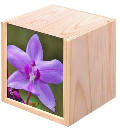 Fabulous Scatola in legno - Macro Orchidea viola Fiore Selvaggio Montagna (10 x 10 x 10 cm)