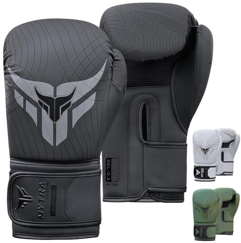 Gants de Boxe 10, 12, 14, 16 oz — Gants Frappe avec Paume en Maille Aérée Gants entraînement | Gants MMA, Muay Thai & Kickboxing pour Hommes & Femmes (Noir, 14-oz)