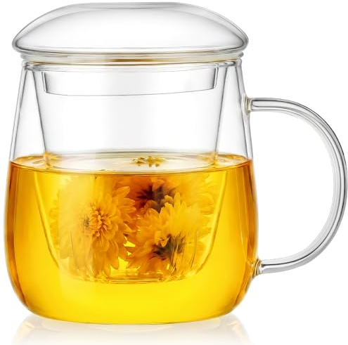 AOOTE Tazza In Vetro Borosilicato Filtro, Bicchiere da Tè Tutto In Uno da 400 ml, Tazze Da The In Vetro con Infusore e Coperchio Fungo di Vetro, Regali Di Natale per le Donne, Mamma, Papà, Nonni