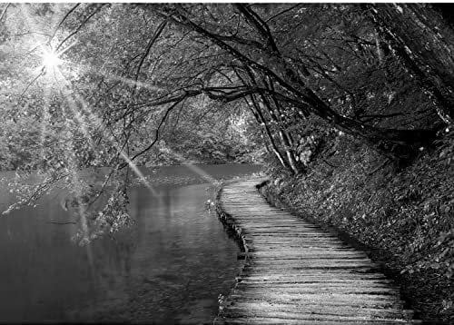 Runa Art Papier Peint panoramique Pont sur le lac 352 x 250 cm Toison Mur XXL Moderne Décoration Murale Salon Chambre á Coucherr Bureau Salle Noir et blanc 9053011c