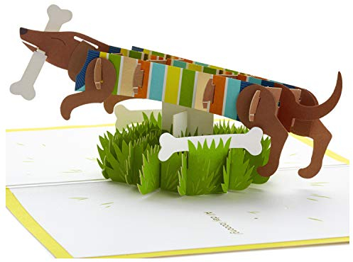 Hallmark Signature Paper Wonder Pop Up Geburtstagskarte, Vatertagskarte (Dackel, Happy All Day Long) (1299RZH1143)