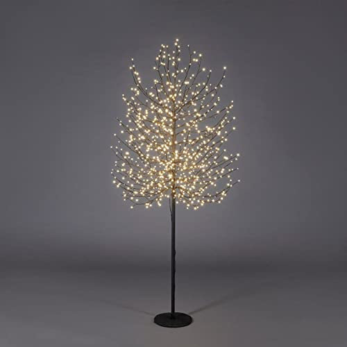 EDG Enzo De Gasperi Faggio Albero di Natale Luminoso con 900 LED Nero 180cm Metallo