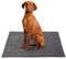 Homimp Saugfähige Hundematte (43,2 x 61 cm), maschinenwaschbar, Eingangsmatte für saubere Hundefüße, schlammige Pfoten, Terrasse, Haustür, Hintertür, Schlammraum, Innen- und Außenbereich (grau)